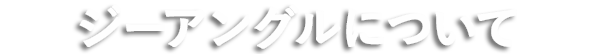 ジーアングルについて